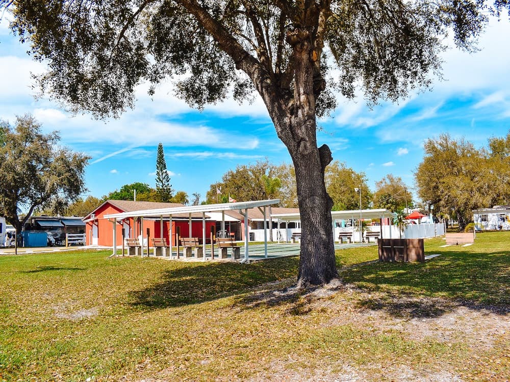 Rv Image