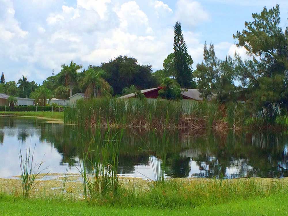 Rv Image