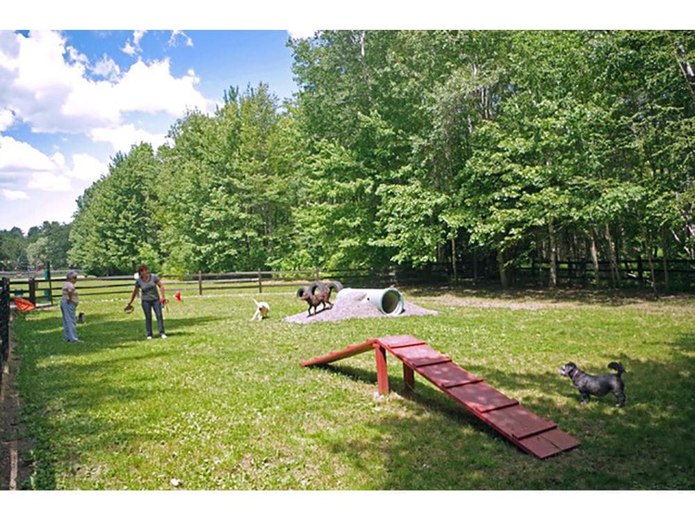 Rv Image
