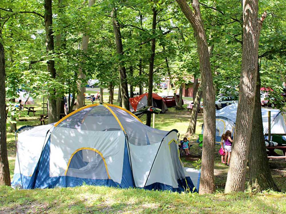 Rv Image