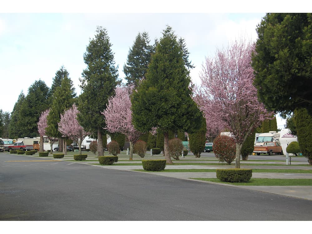 Rv Image