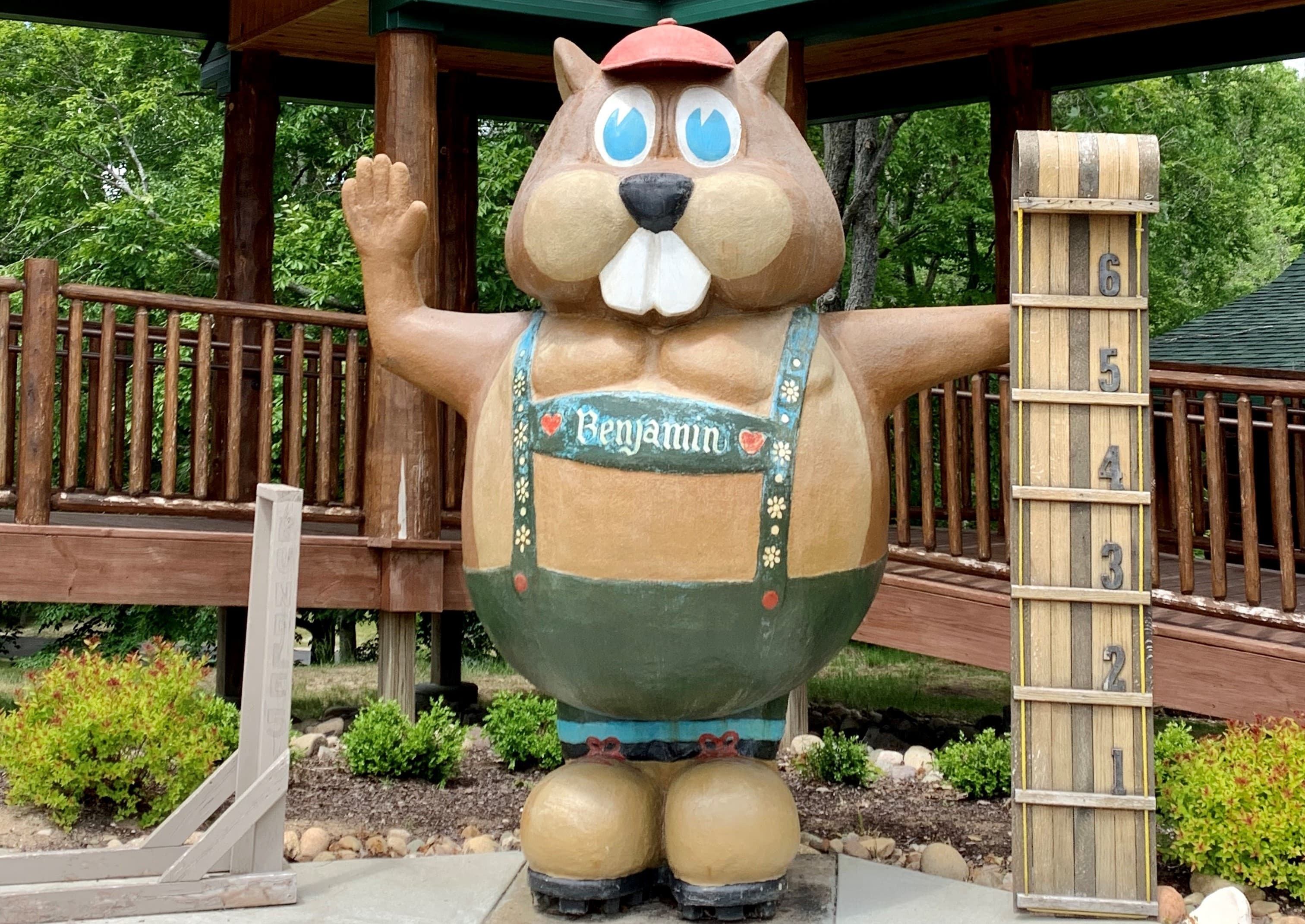 Rv Image