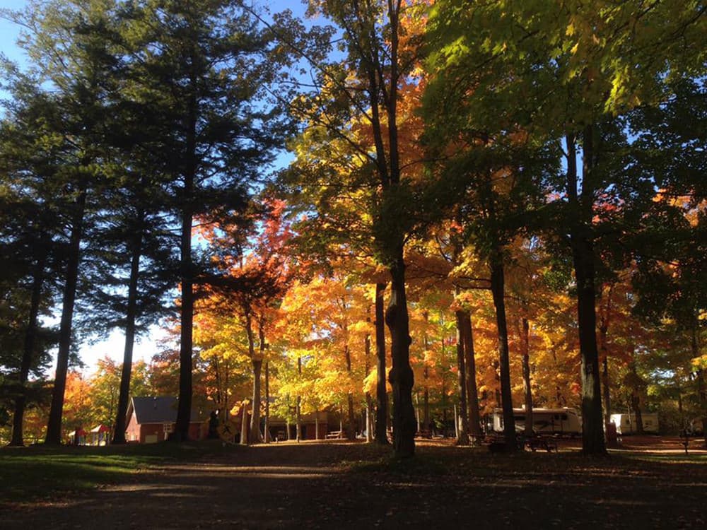 Rv Image