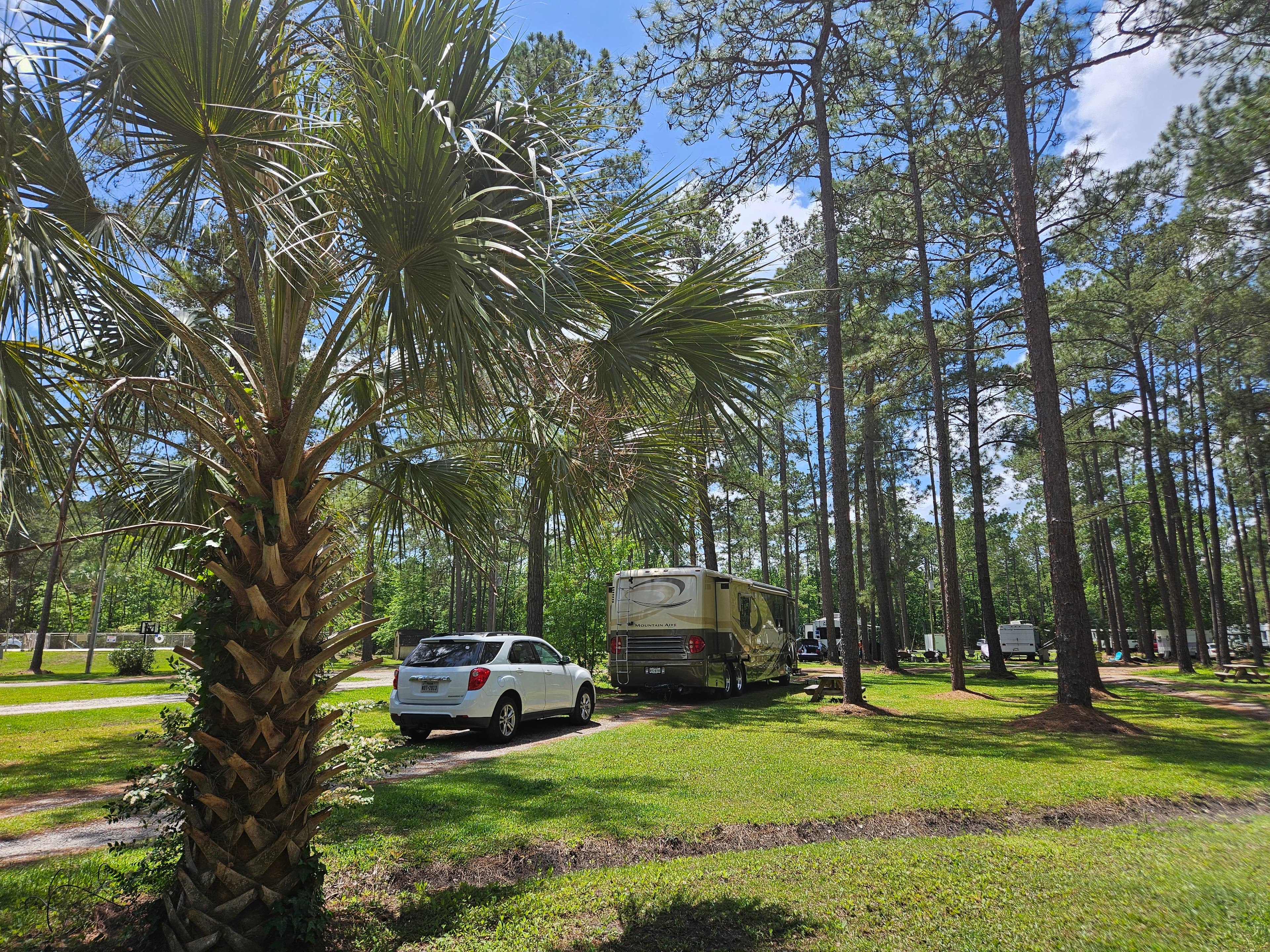 Rv Image