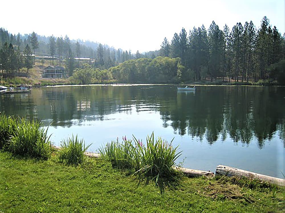 Rv Image