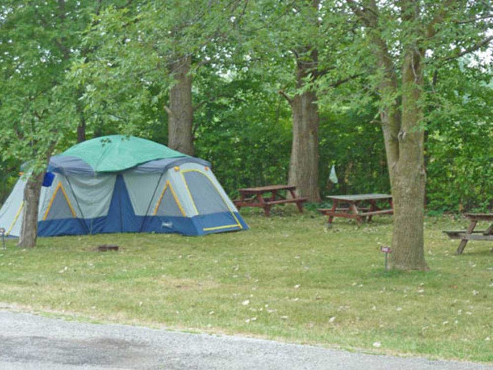 Rv Image