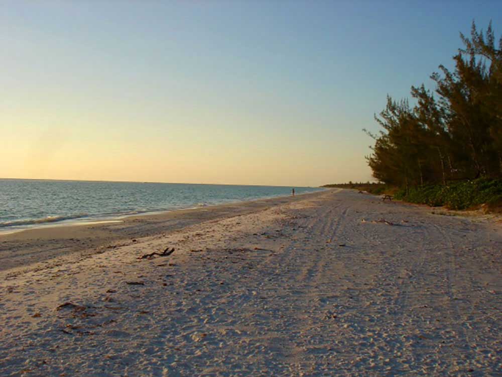Rv Image