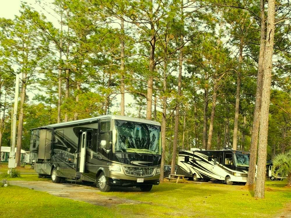 Rv Image