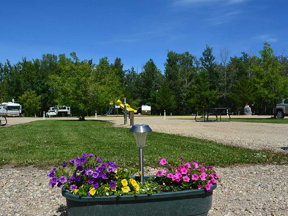 Rv Image