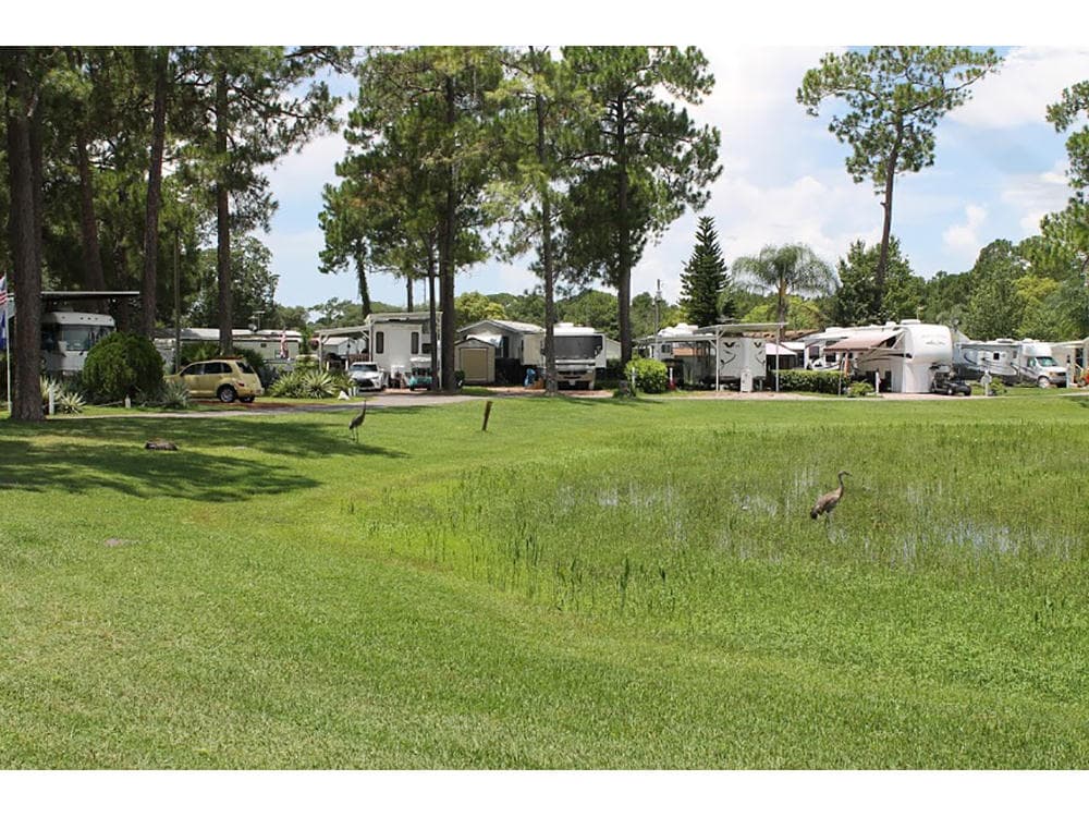 Rv Image