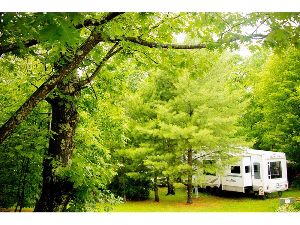 Rv Image