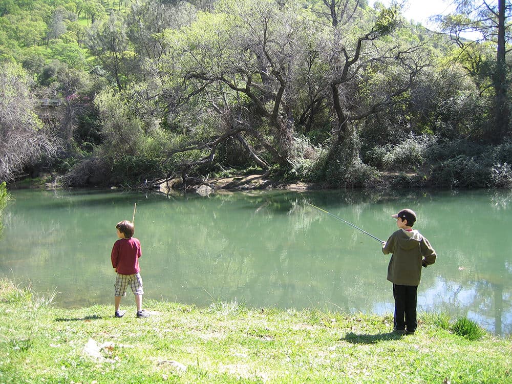 Rv Image