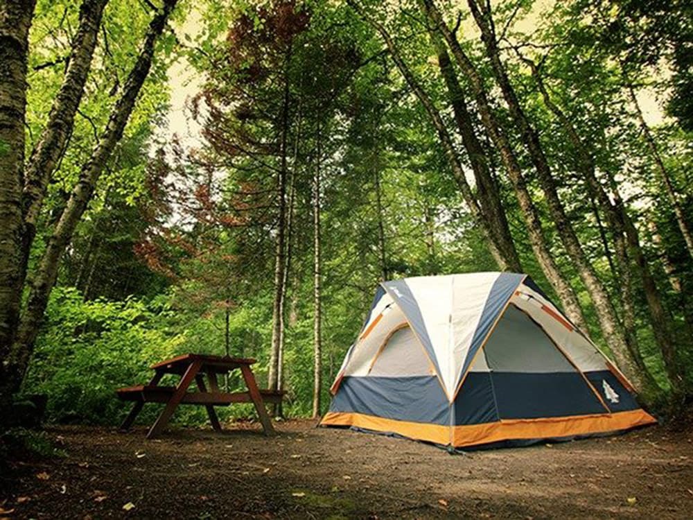 Rv Image